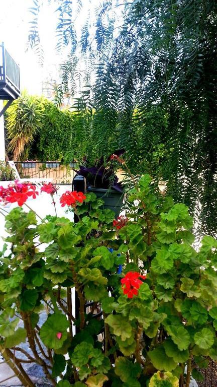 Emelce Apart Bodrum Exterior foto